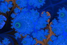 School of Squid Fractal